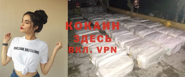 прущие грибы Саяногорск