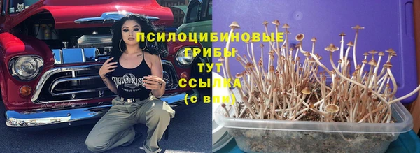 крисы Балабаново