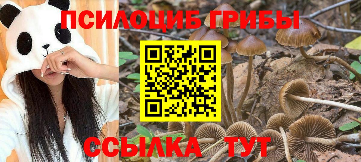 Псилоцибиновые грибы мицелий Белогорск